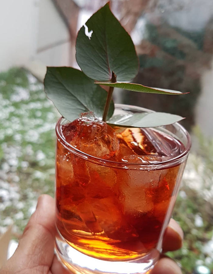 Melifera-gin-francais-bio-cocktail-negroni-recette