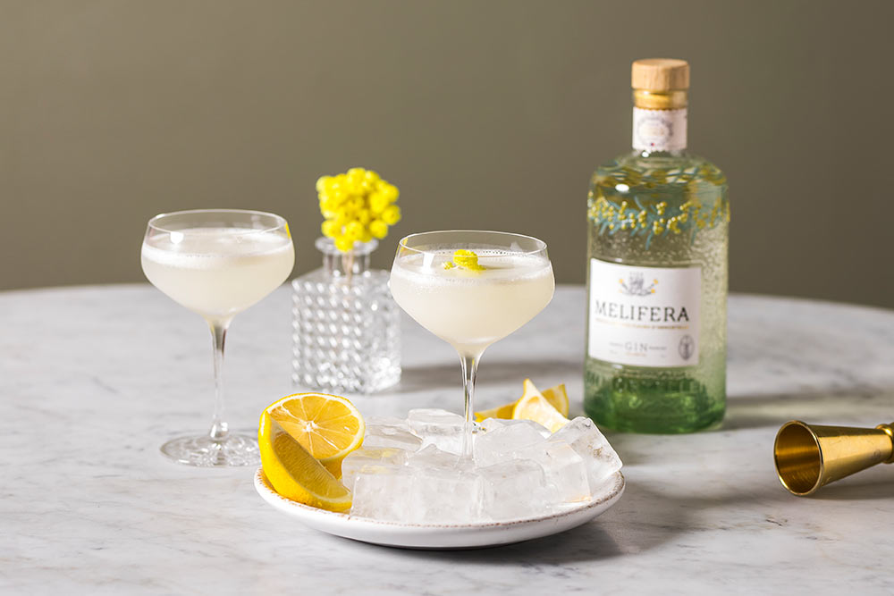 melifera army&navy cocktail best glass for gin