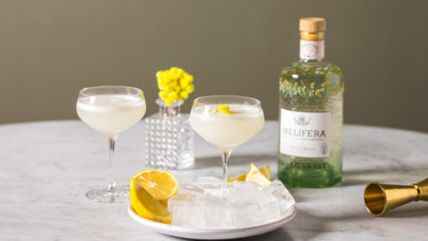 melifera-cocktail-love-gin-english